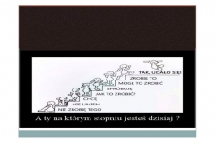 ORGANIZACJA-NAUKI-16