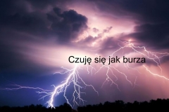 8bf37b44563d0a6ca527ca8e6564a140-3
