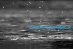 8bf37b44563d0a6ca527ca8e6564a140-4