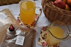 ekoKonferencja_012