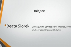Slajd13