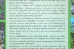 WycieczkaRowerowa026